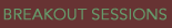 Breakout Sessions