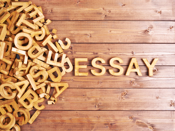 2019 Essay Contest Open