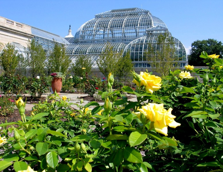 US Botanic Garden