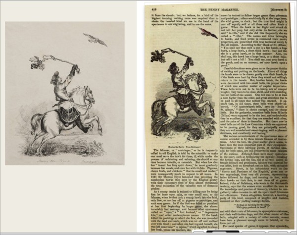 image 10 outlined image 10 outlined