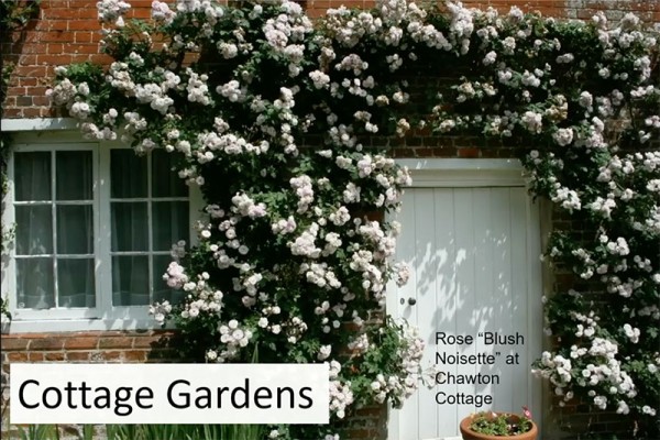 Roses surrounding kitchen door of Chawton Cottage (Jane Austen's House)