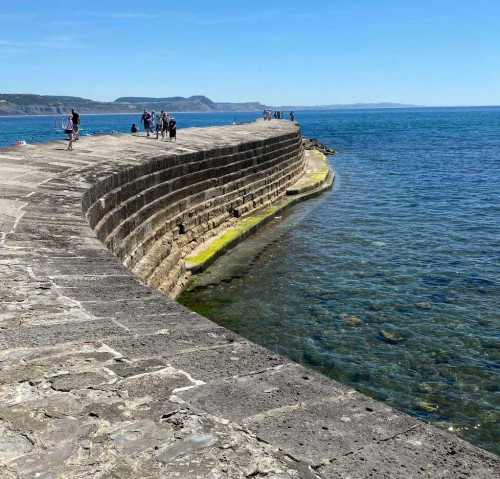 The Cobb The Cobb