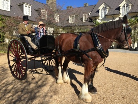 Lerner Carriages