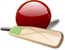 cricket 150561 1280